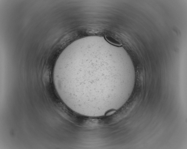 X0000112780227200909101619