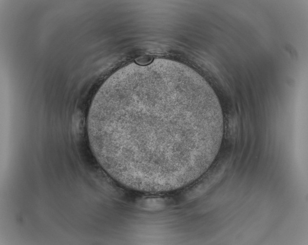 X0000112780228200909101619