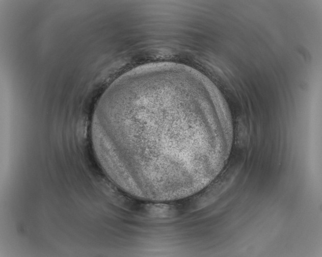 X0000112780230200909101619