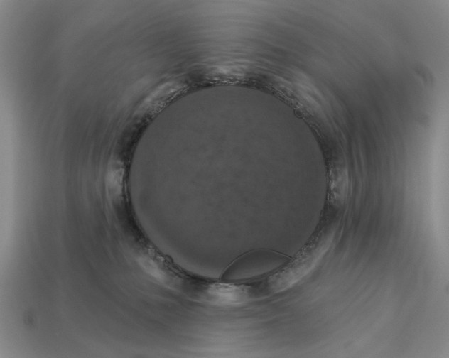 X0000112780231200909101619