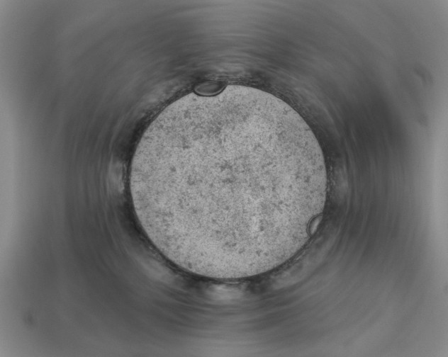 X0000112780232200909101619