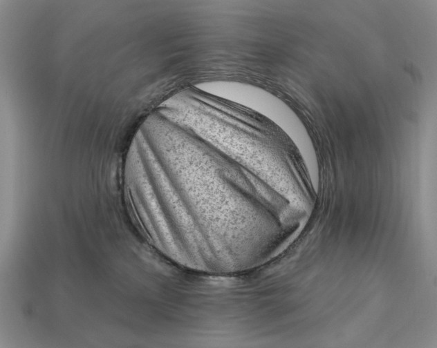 X0000112780233200909101619