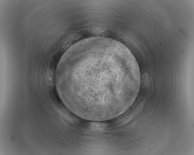 X0000112780234200909101619