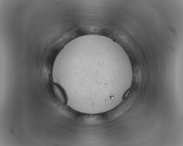 X0000112780235200909101619