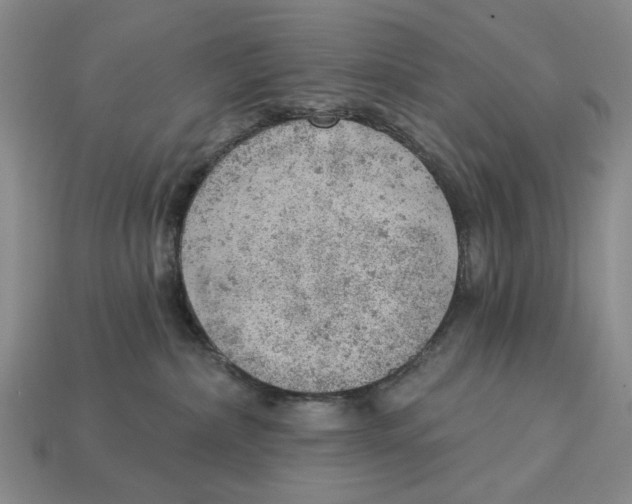 X0000112780236200909101619