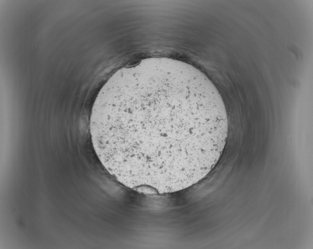 X0000112780240200909101619