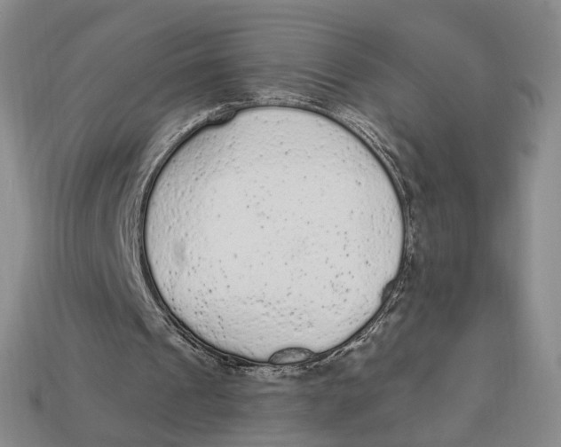 X0000112780241200909101618