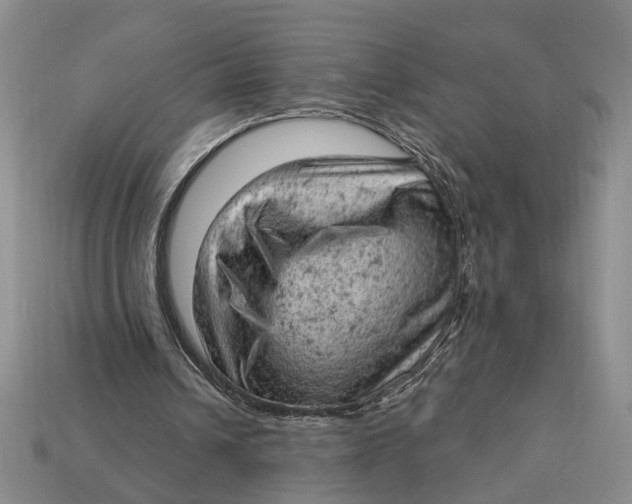 X0000112780242200909101618