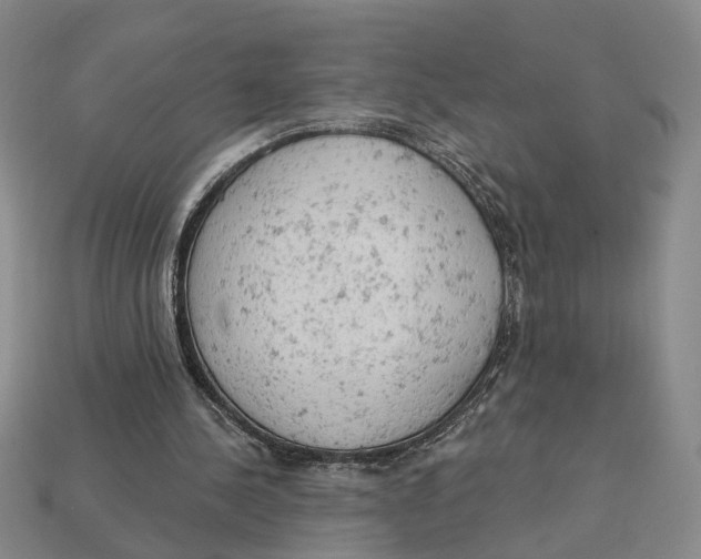 X0000112780244200909101618