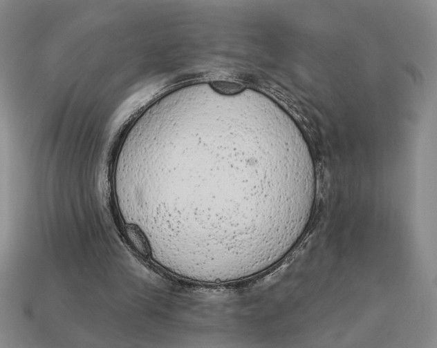 X0000112780245200909101618