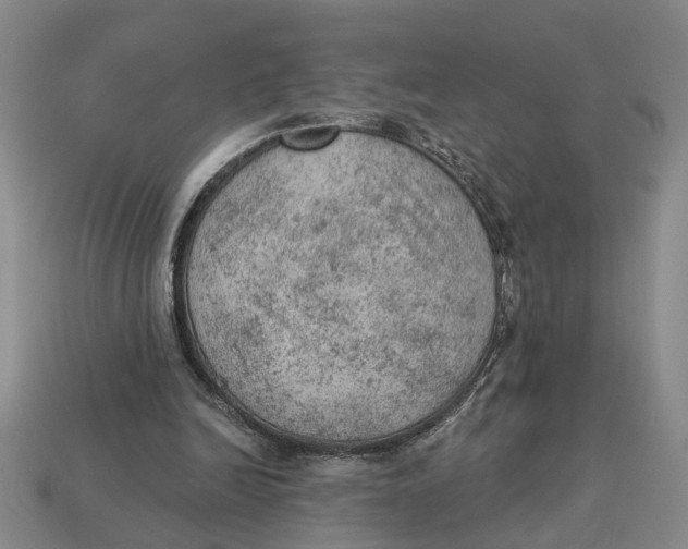 X0000112780246200909101618