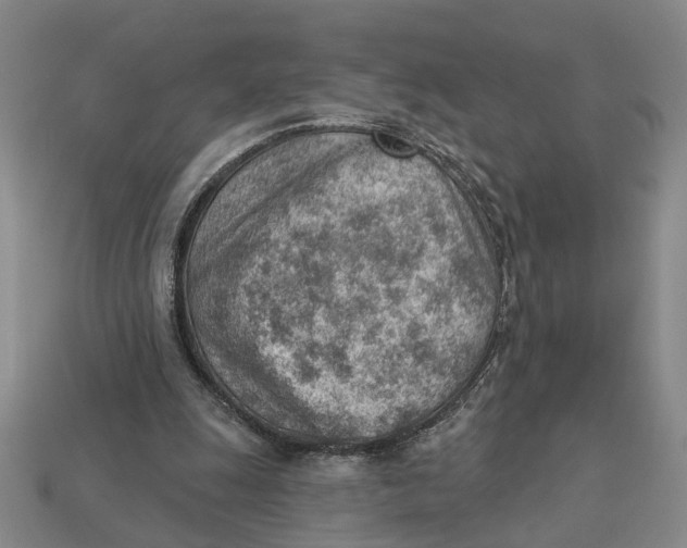 X0000112780247200909101618