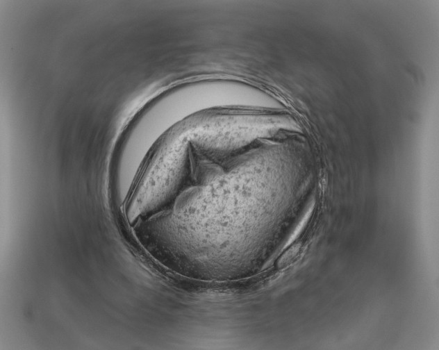 X0000112780248200909101618