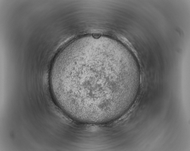 X0000112780249200909101618