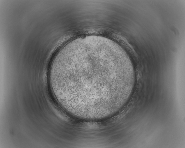 X0000112780250200909101618