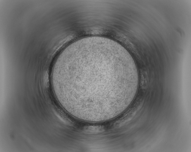 X0000112780251200909101618