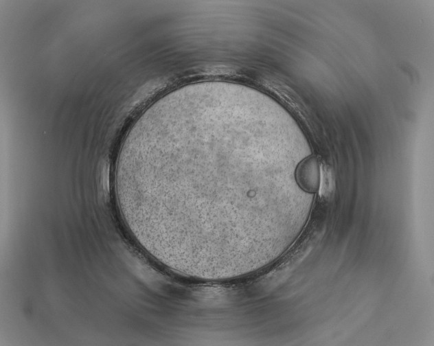 X0000112780253200909101618