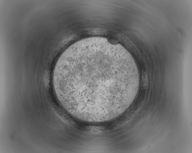 X0000112780255200909101618