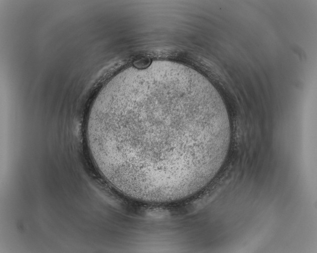 X0000112780258200909101618