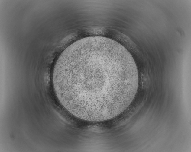 X0000112780259200909101618