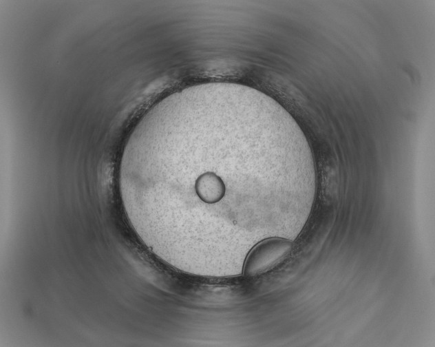 X0000112780260200909101618