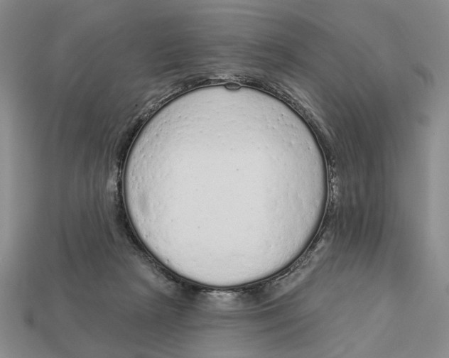 X0000112780265200909101618