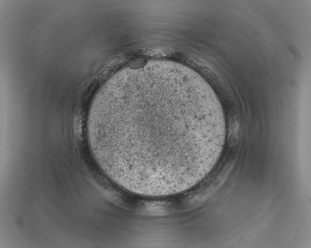 X0000112780268200909101618