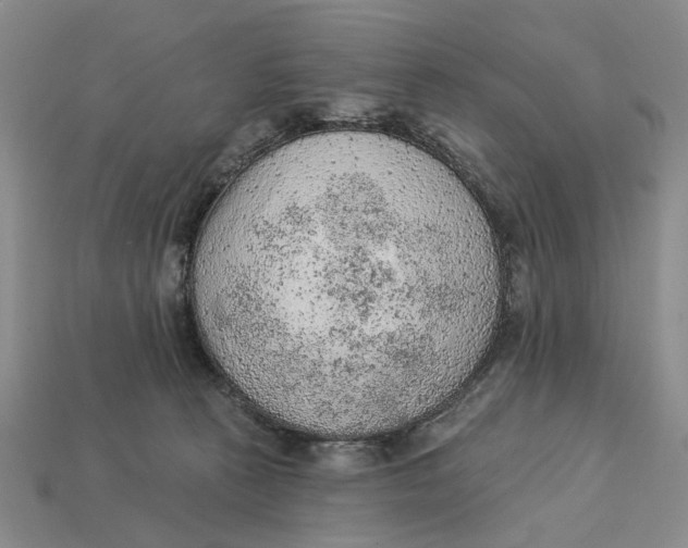 X0000112780273200909101618