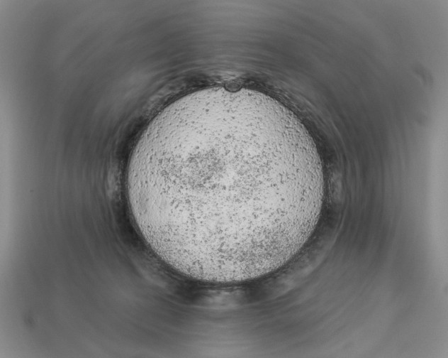 X0000112780274200909101618