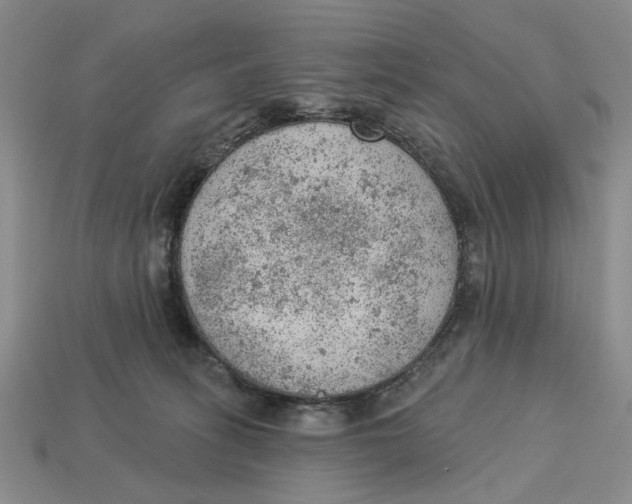 X0000112780275200909101618