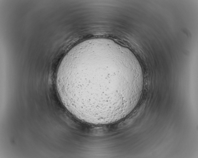 X0000112780277200909101618