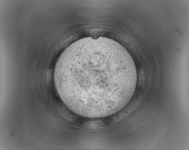 X0000112780278200909101618