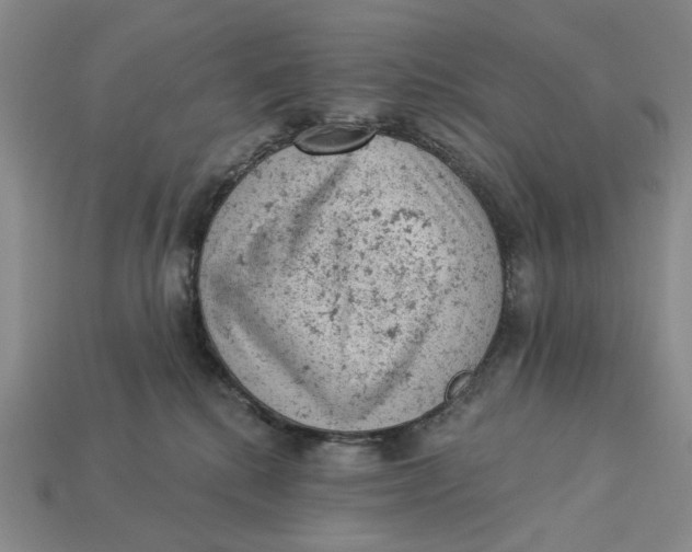 X0000112780280200909101618