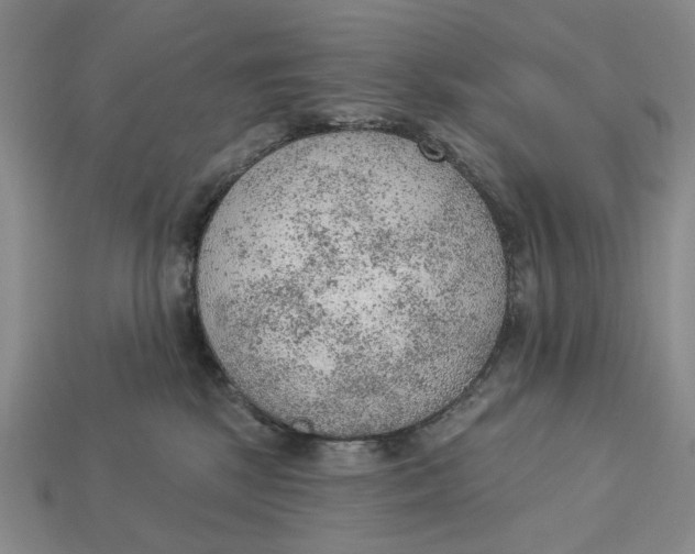 X0000112780281200909101618