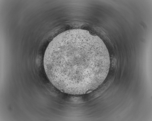 X0000112780283200909101619