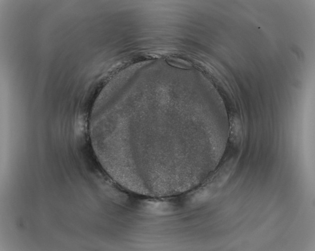 X0000112780284200909101619