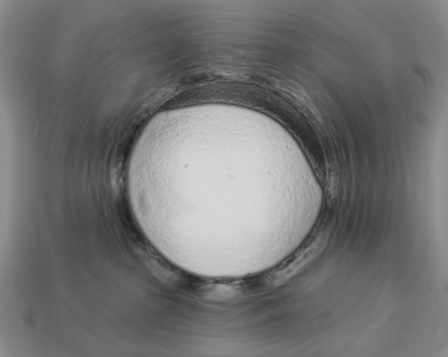 X0000112780285200909101619