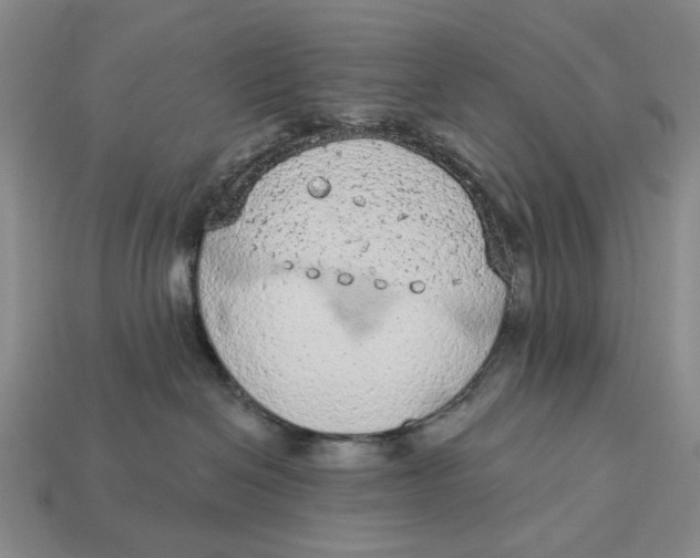 X0000112780286200909101619