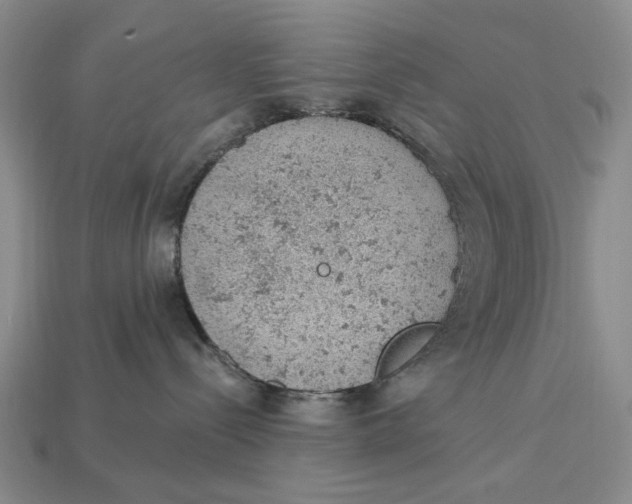 X0000112780288200909101619