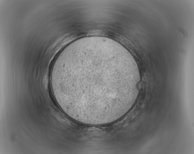 X0000112780290200909101618