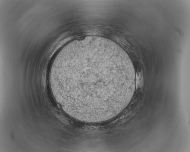 X0000112780291200909101618