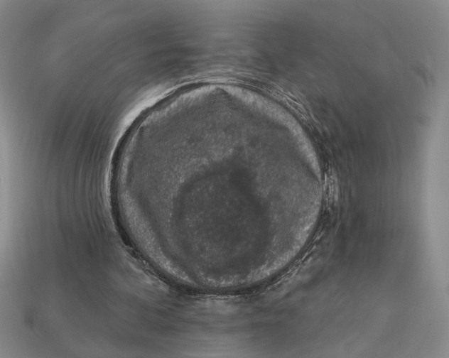 X0000112780292200909101618