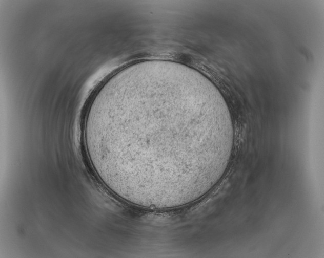 X0000112780294200909101618