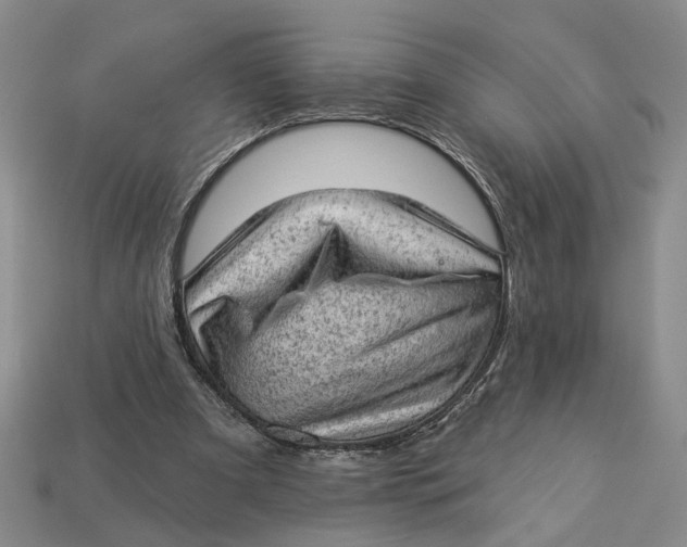 X0000112780297200909101618