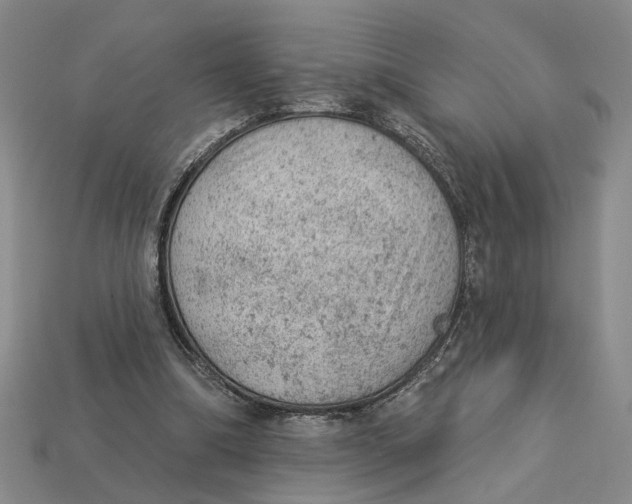 X0000112780298200909101618