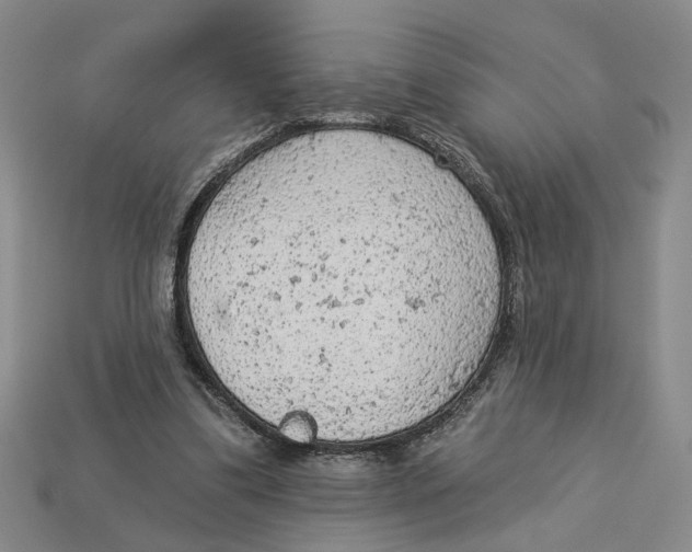 X0000112780299200909101618