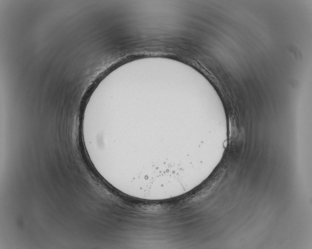 X0000112780301200909101618