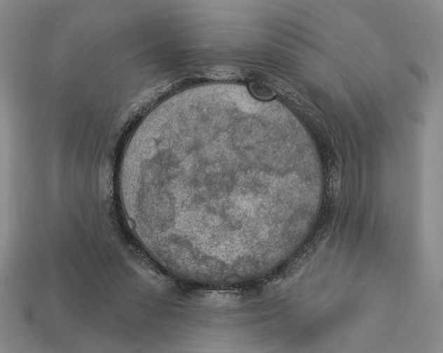 X0000112780303200909101618