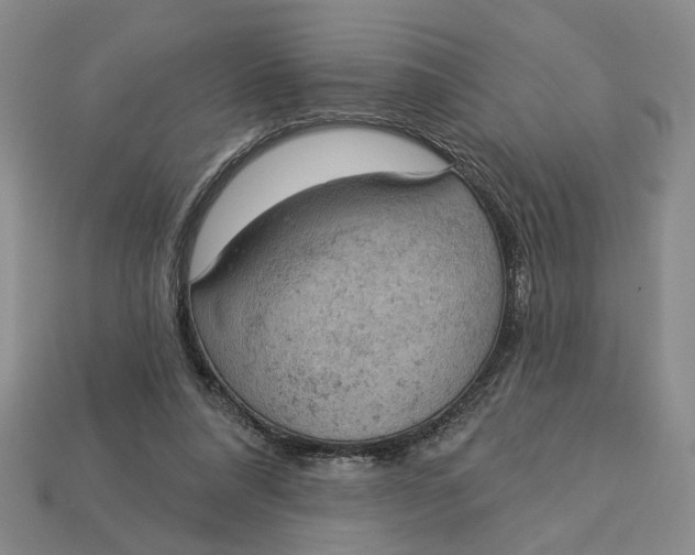 X0000112780304200909101618