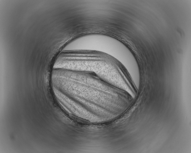 X0000112780305200909101618